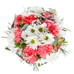 This exuberant bouquet-artfully composed by a Hackney Marshes florist-captures the spirit of joy and renewal so often found on spring mornings by the river. At its core, cheerful white daisies with green centers illuminate the arrangement, surrounded by clouds of coral-pink carnations whose ruffled petals evoke the layered textures of wild blooms from the marshes. Delicate baby's breath weaves throughout, adding a soft, star-like sparkle that brings a sense of lightness. Subtle alstroemeria buds tinged in violet and deep pink peek between blossoms, hinting at the promise of new beginnings. Lush greenery-ranging from cool eucalyptus to richly hued leaves-frames the bouquet's round silhouette, anchoring the composition. This blend of colour and scent, freshness and warmth, makes it a perfect choice for birthday wishes, tokens of appreciation, or simply sending a radiant message to a home along Marsh Hill or Homerton Road. Each detail reveals the care and artistry of Hackney Marshes' local florists, ensuring flower deliveries that truly celebrate the area's vibrant community spirit.
